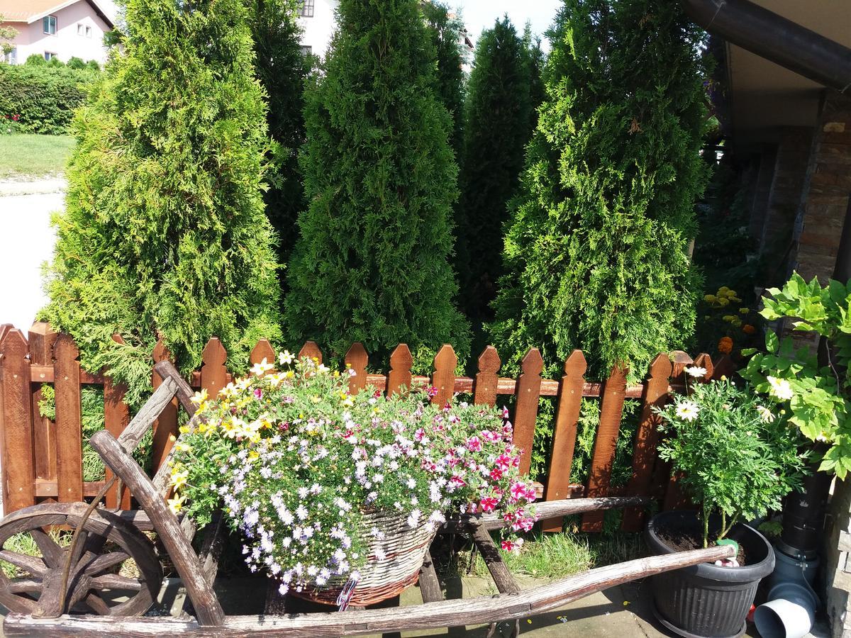 Centar! Lara Zlatibor Appartement Buitenkant foto